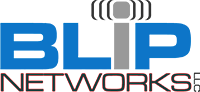 BLIP Networks